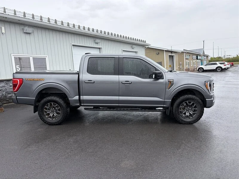 Used 2023 Grey Ford Tremor image 3