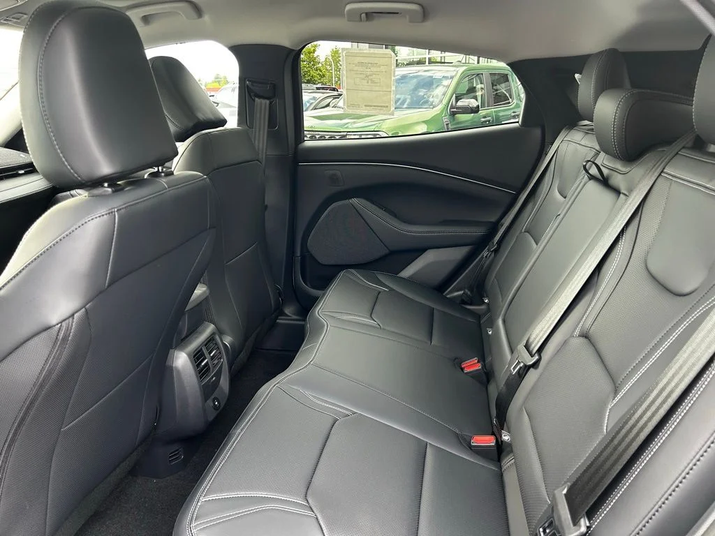 New 2026 Desert Sand Ford Premium image 10