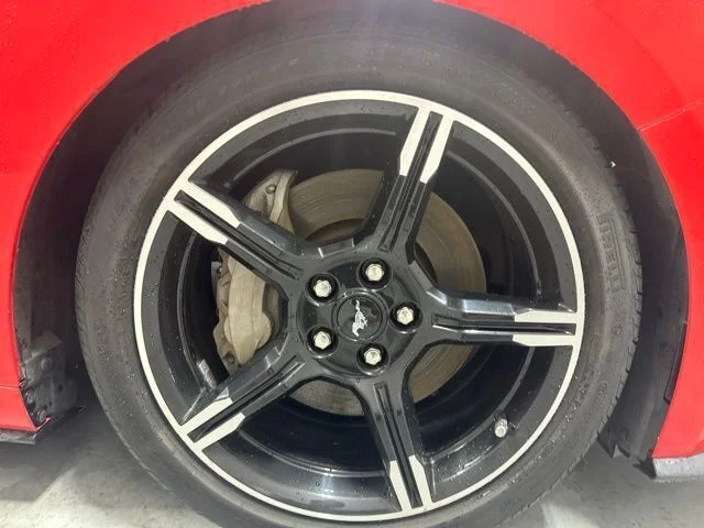 Used 2019 Red Ford GT Premium image 4