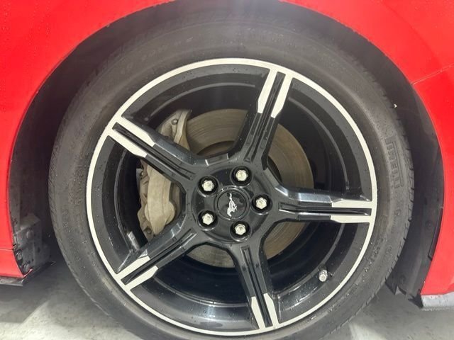 Used 2019 Red Ford GT Premium image 4