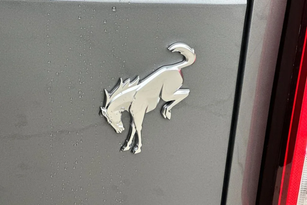 New 2025 Gray Metallic Ford Base image 26