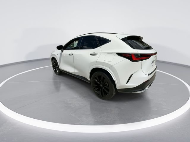 2024 Lexus NX 350 - Photo 6