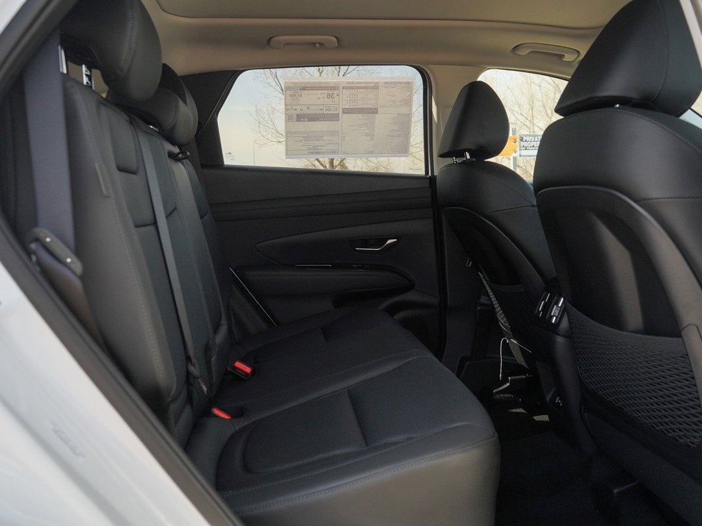 New 2026 Creamy White Pearl Hyundai Limited AWD image 12