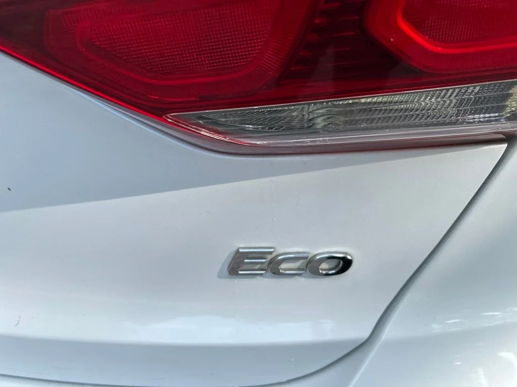 Used 2017 White Hyundai Eco image 10
