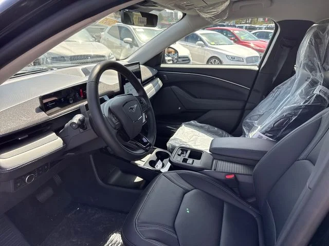 New 2026 Shadow Black Ford Premium image 9