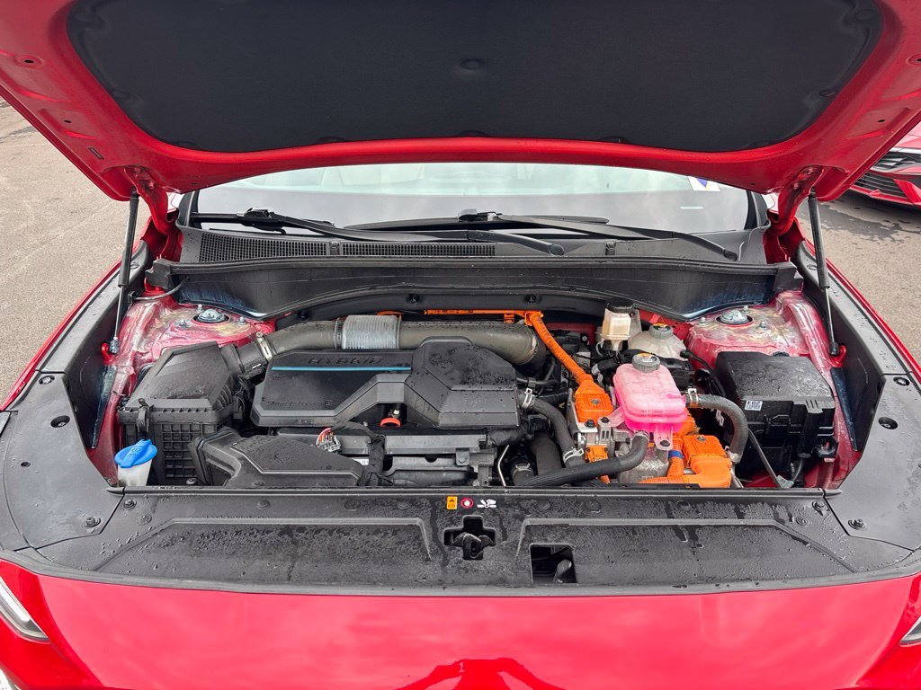 Photo 31