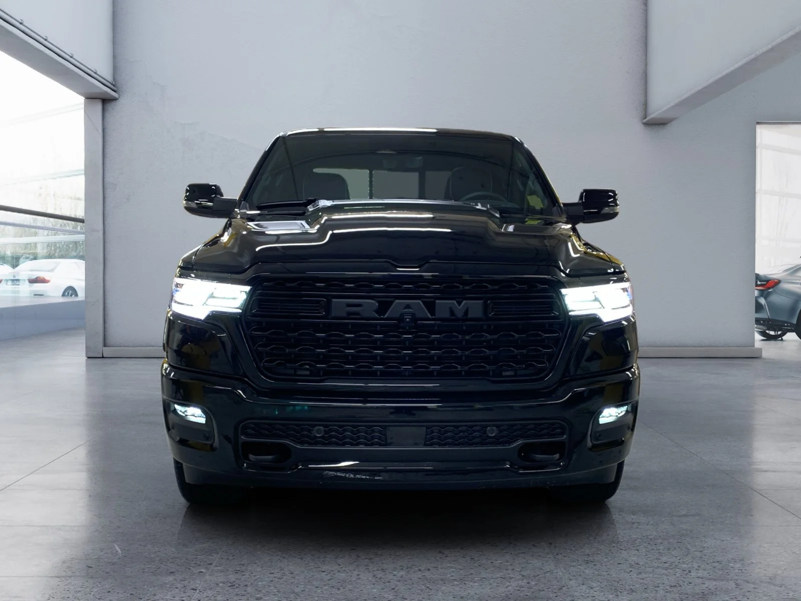 New 2026 Diamond Black Crystal Pearl Ram Limited image 8