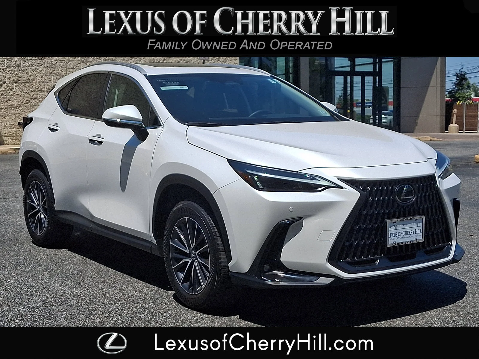 2025 Lexus NX 350 350 Premium AWD's photo