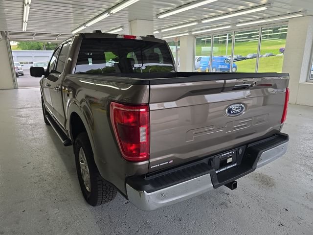Used 2023 Gray Ford XLT image 3
