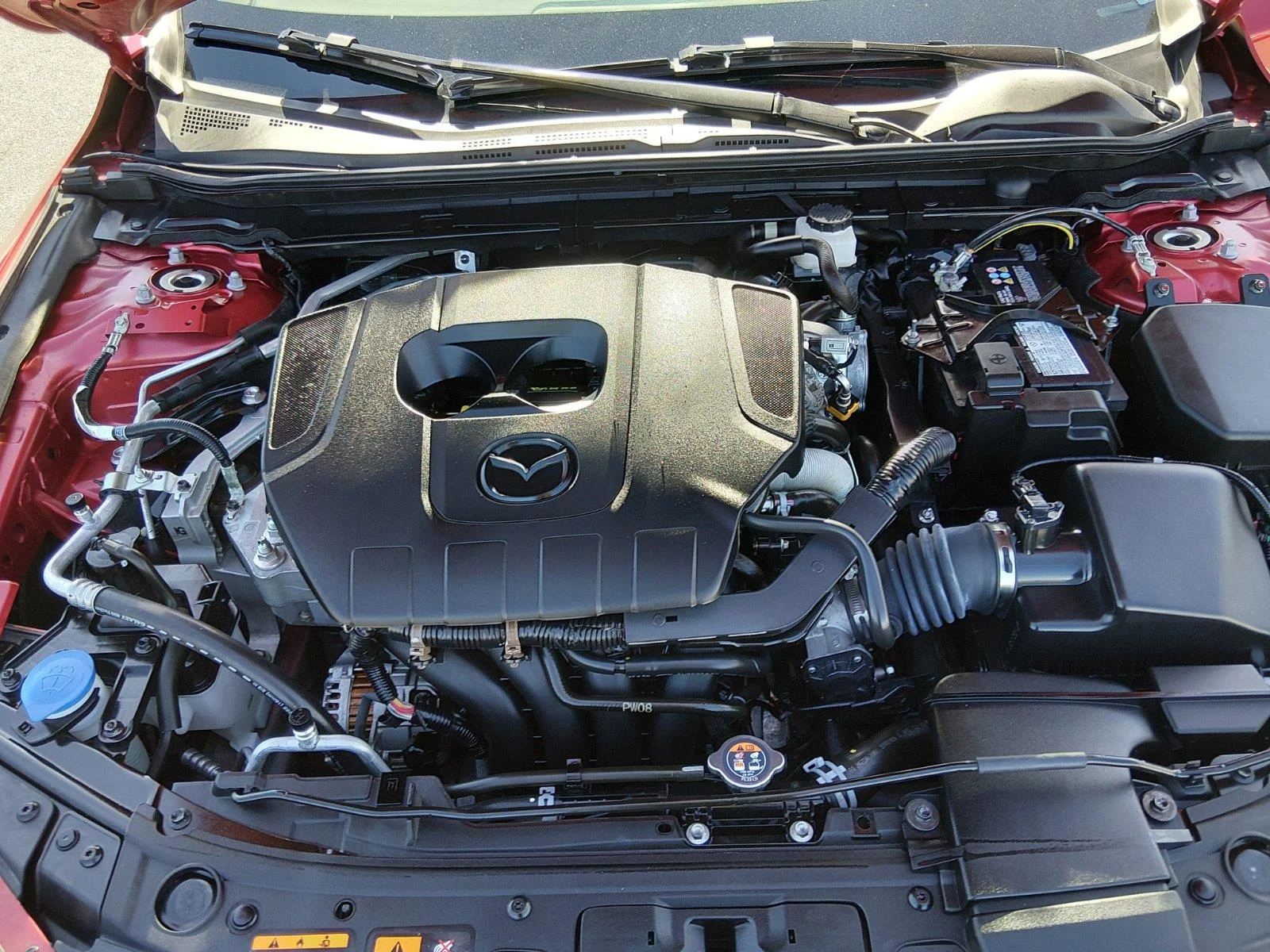 Used 2025  MAZDA SELECT image 14