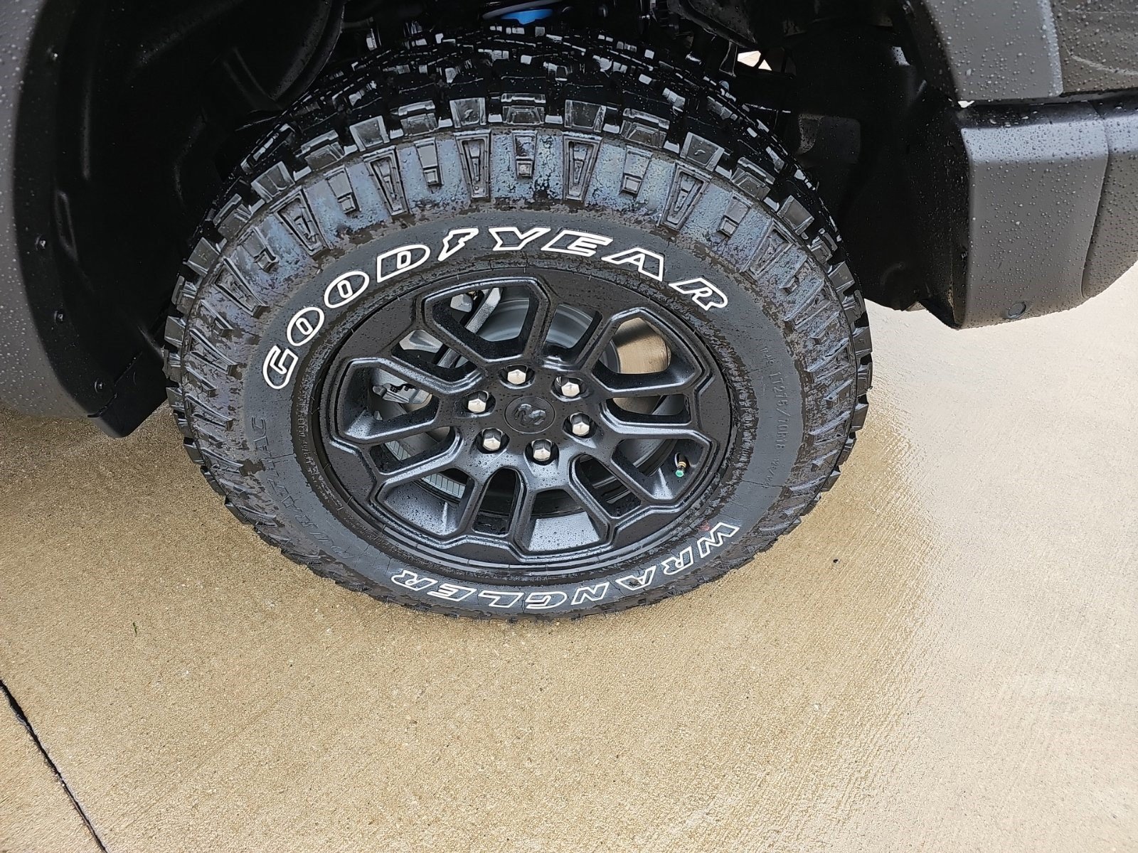 New 2027 Diamond Black Crystal Pearlcoat Ram Rebel image 8