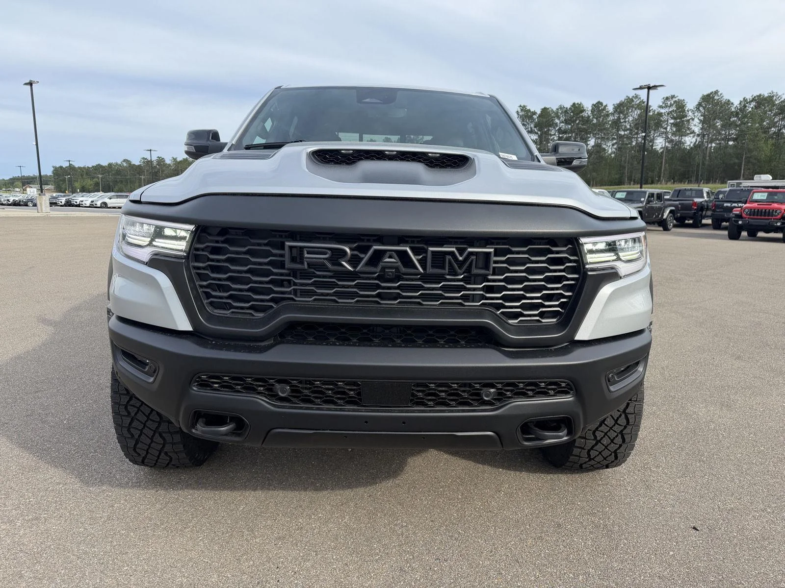New 2026 Silver Zynith Exterior Paint RAM RHO image 2