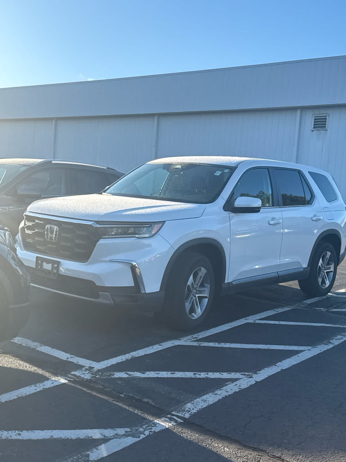 Napleton Honda Loves Park