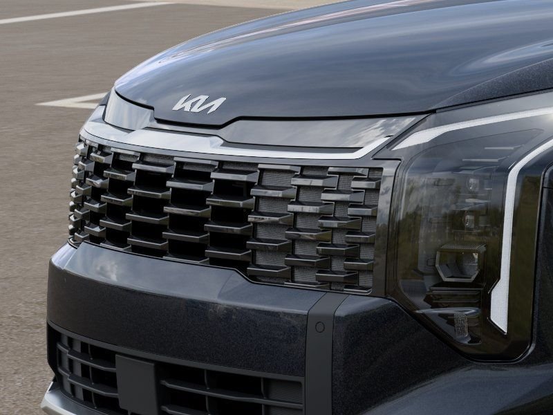 New 2026 Panthera Metal Kia EX image 12