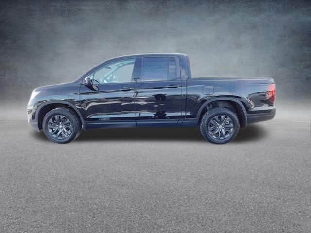 New 2026 Crystal Black Pearl Honda Sport image 10