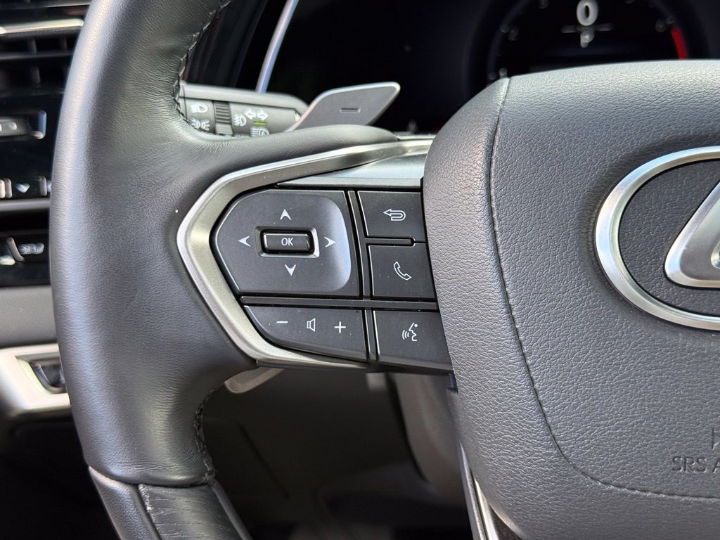 2025 Lexus RX 350 - Photo 32