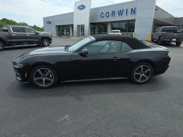 Used 2024 Shadow Black Ford EcoBoost Premium image 14