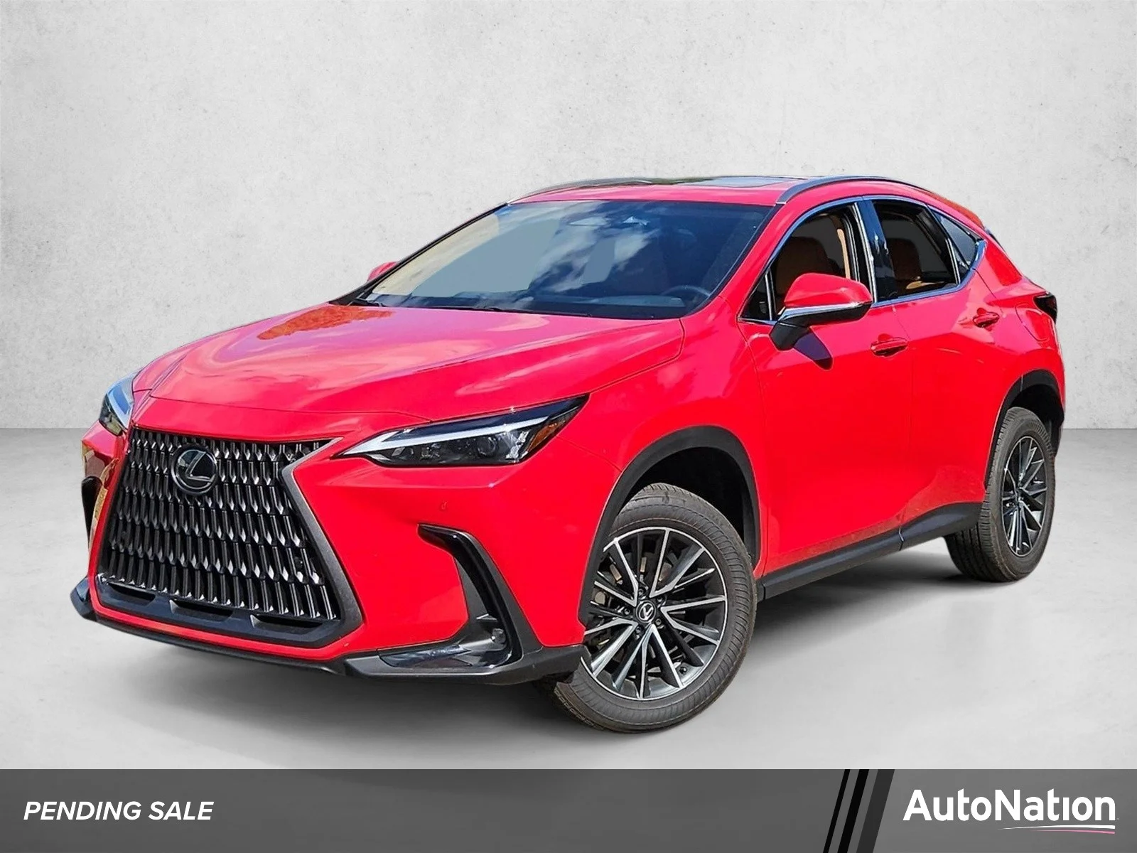 2024 Lexus NX