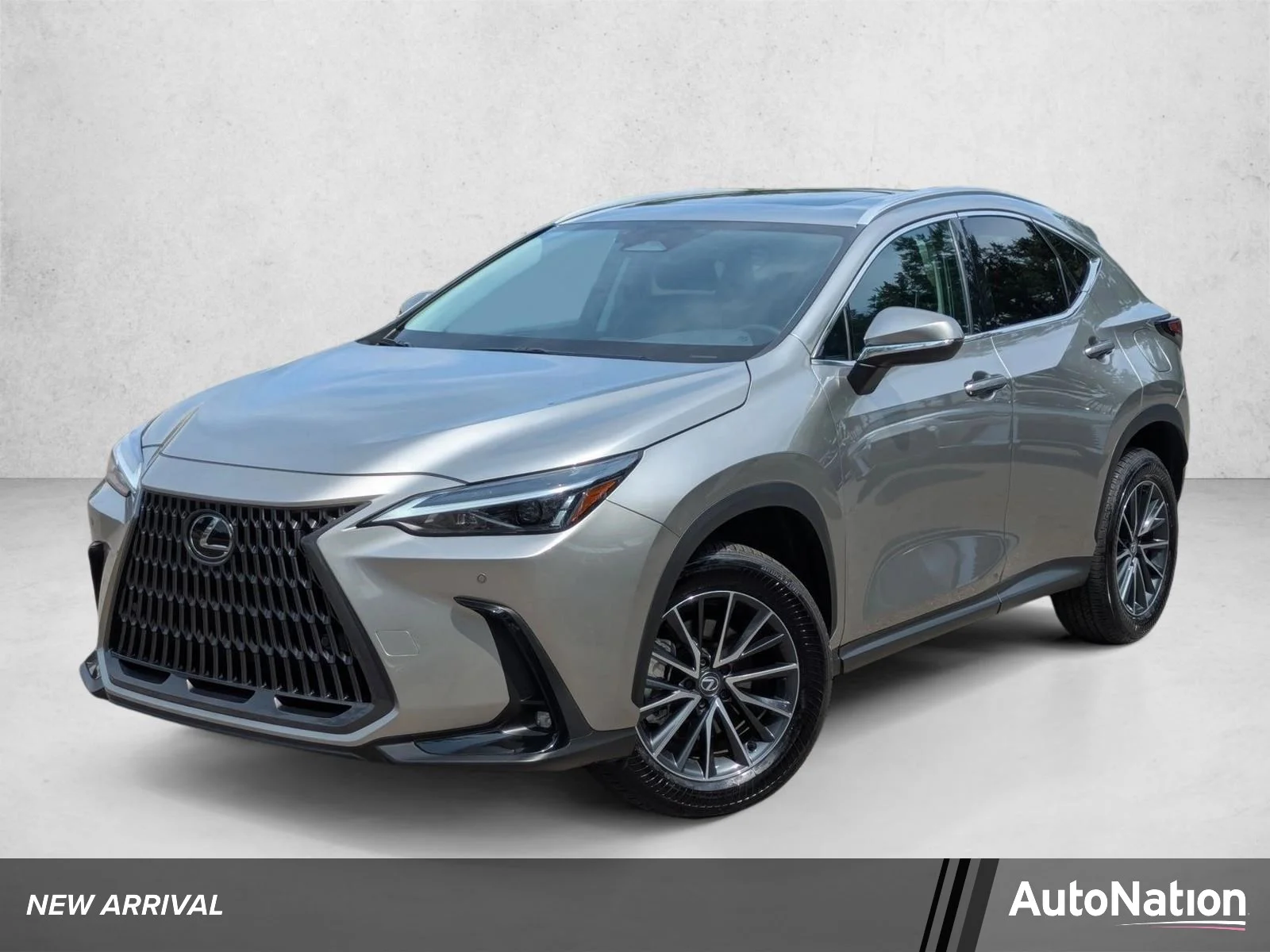 2025 Lexus NX 350 350 Premium AWD's photo