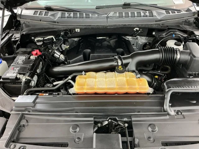 Used 2019 Blue Ford Platinum image 33
