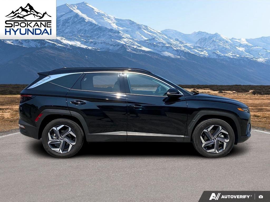 Certified Used 2024 Black Pearl Hyundai Limited image 7