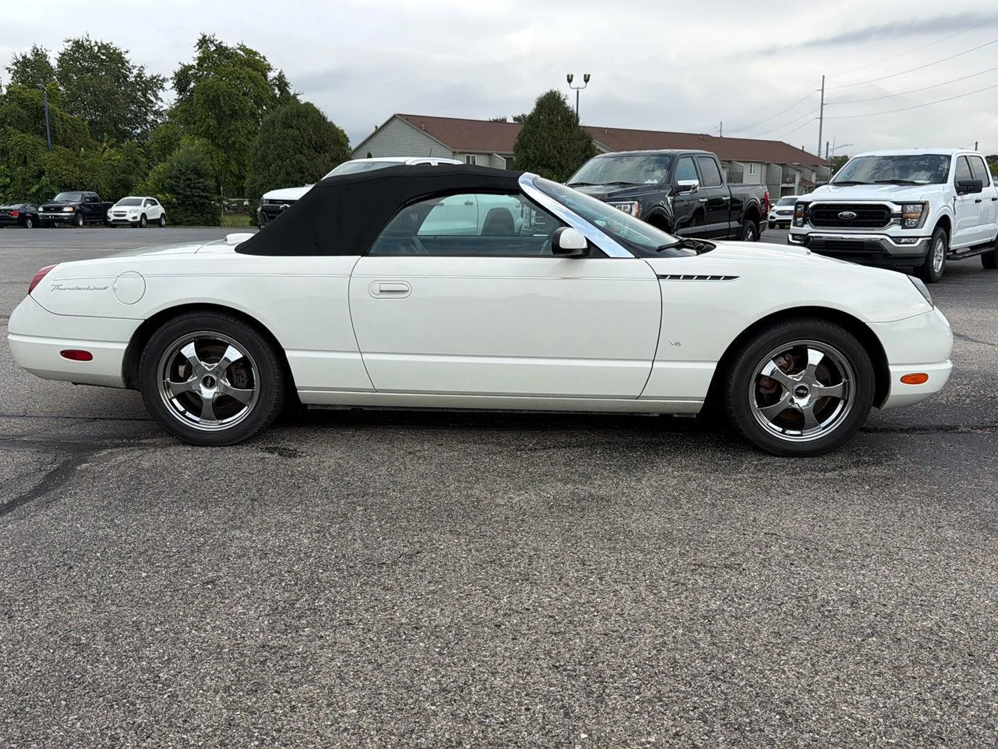 Used 2003 White Ford Premium image 4