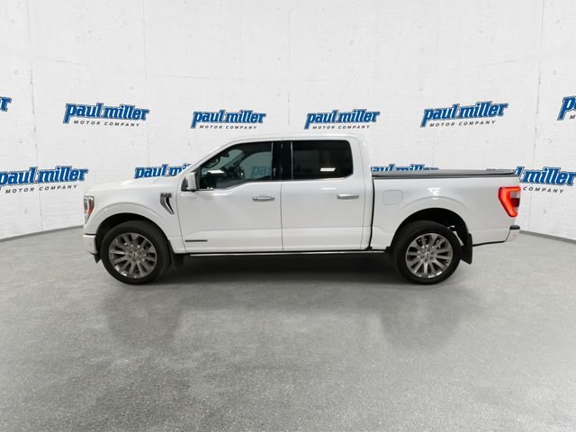 Used 2023 Star White Ford Limited image 6