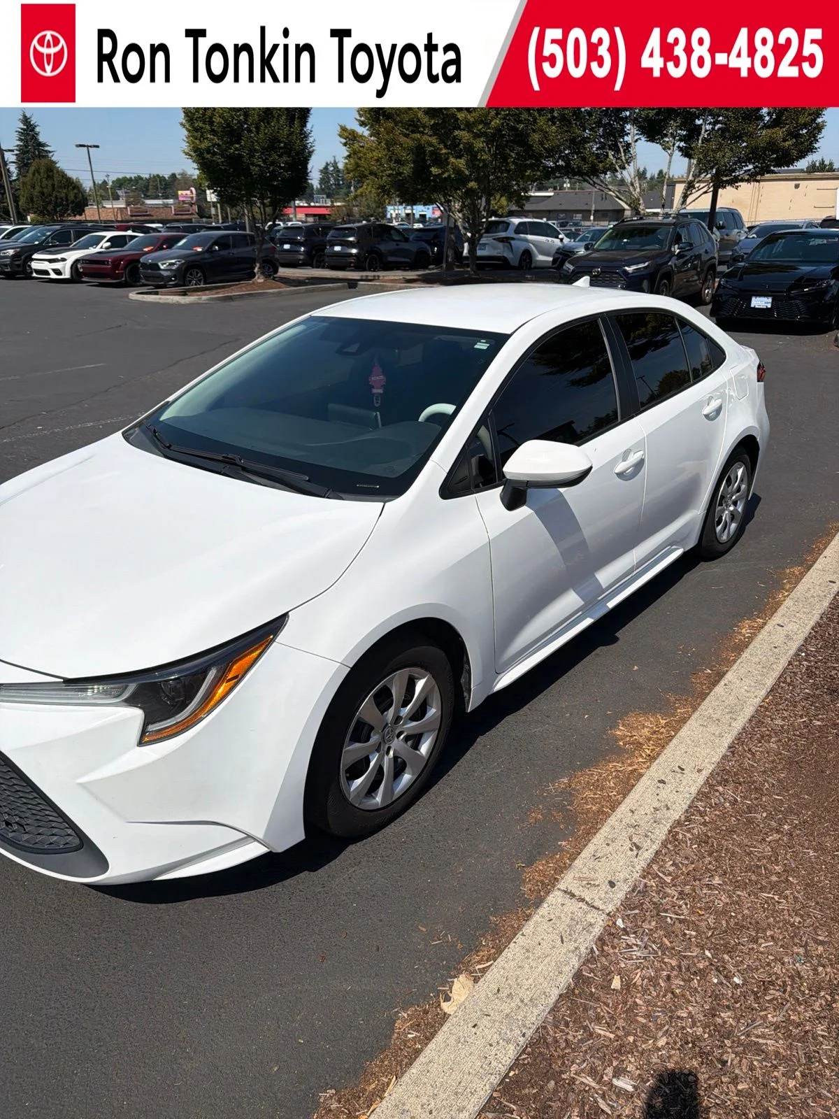 Used 2020 Super White Toyota LE image 1