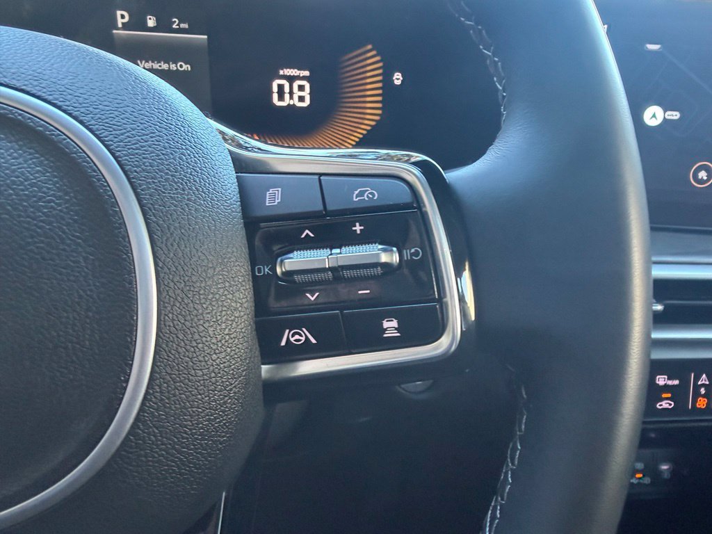 Used 2025 Panthera Metal Kia X-Line EX image 20