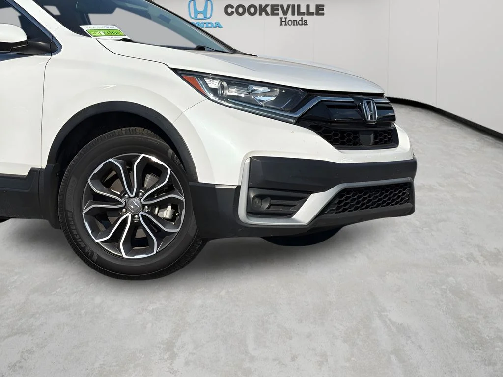 Used 2020 Platinum White Pearl Honda EX-L image 3