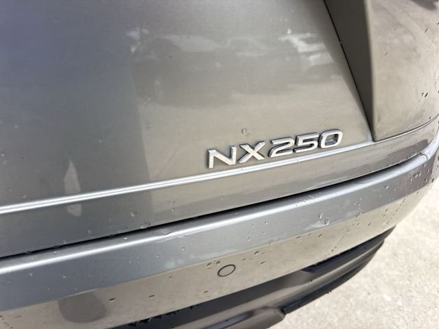 2025 Lexus NX 250 - Photo 25