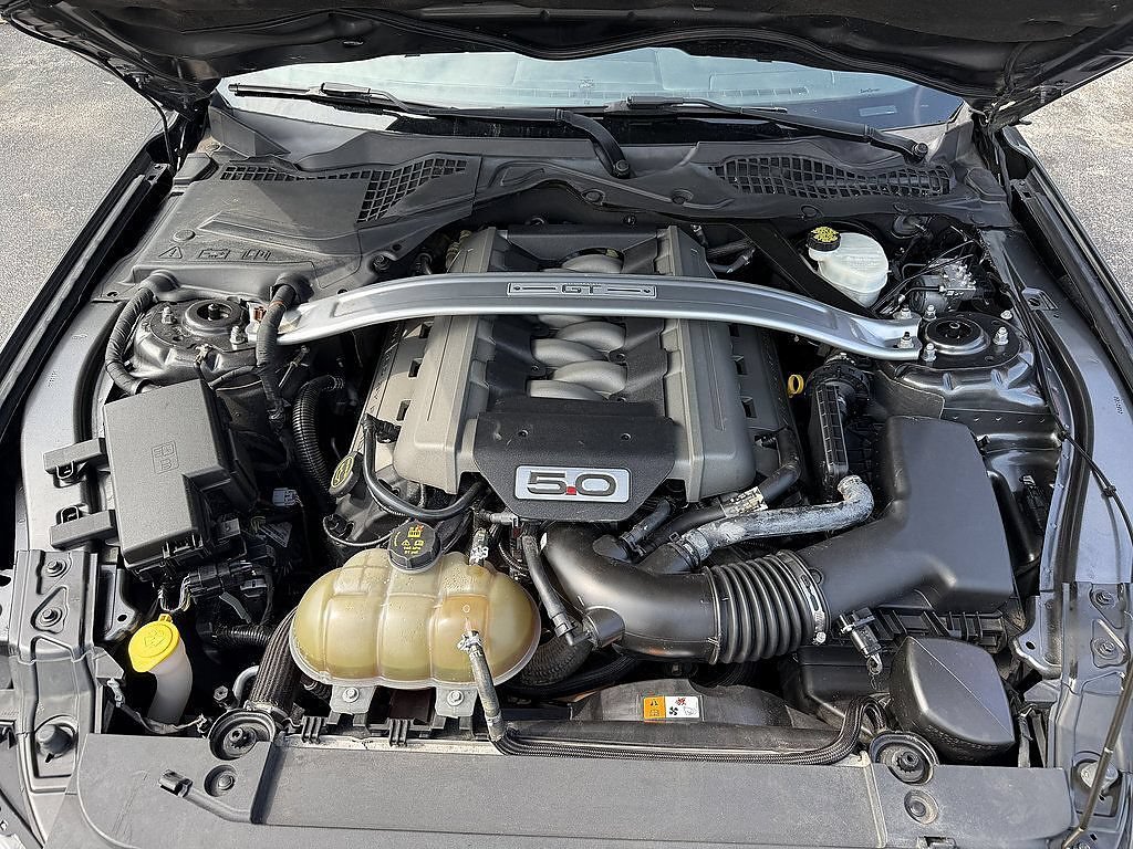Used 2016 Guard Ford GT Premium image 19