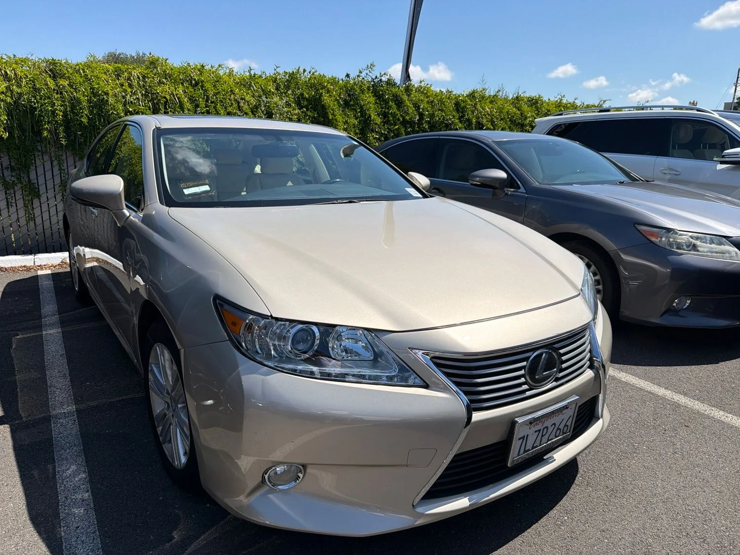 2015 Lexus ES 350 350's photo