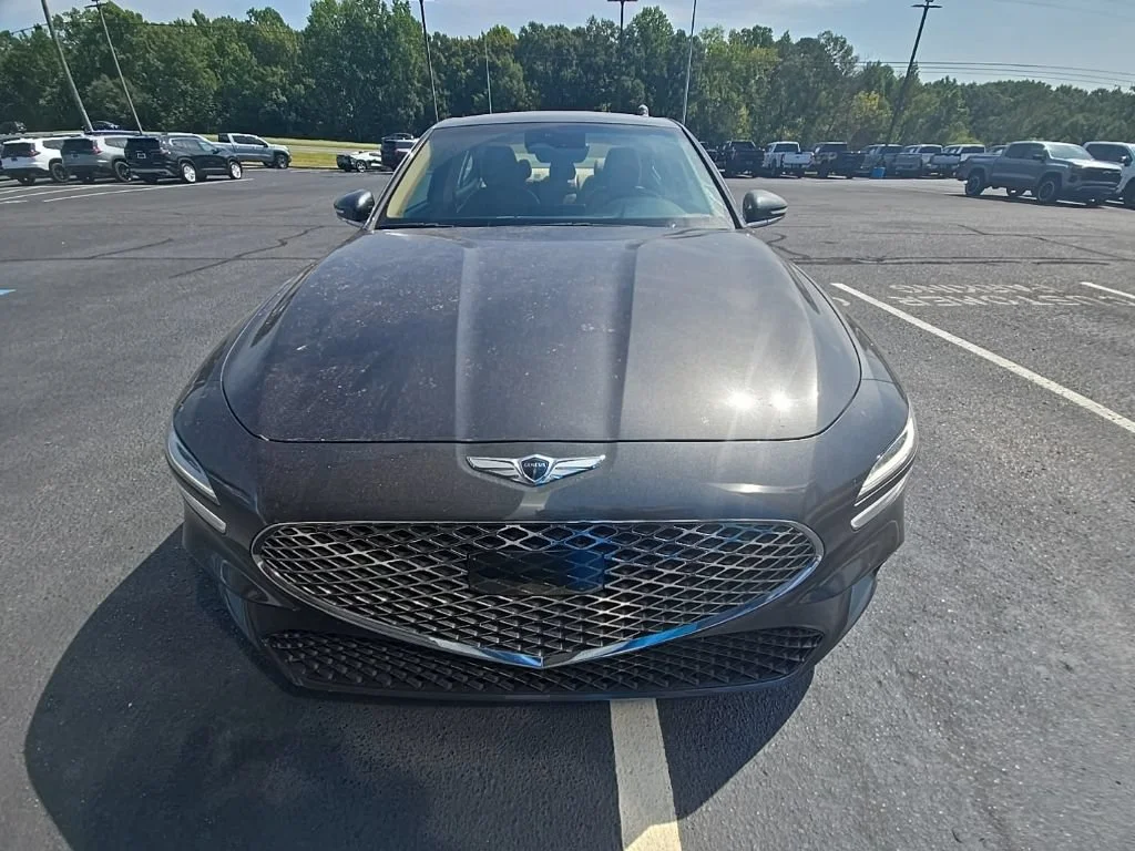 Used 2022 Himalayan Gray Genesis 3.3T image 6