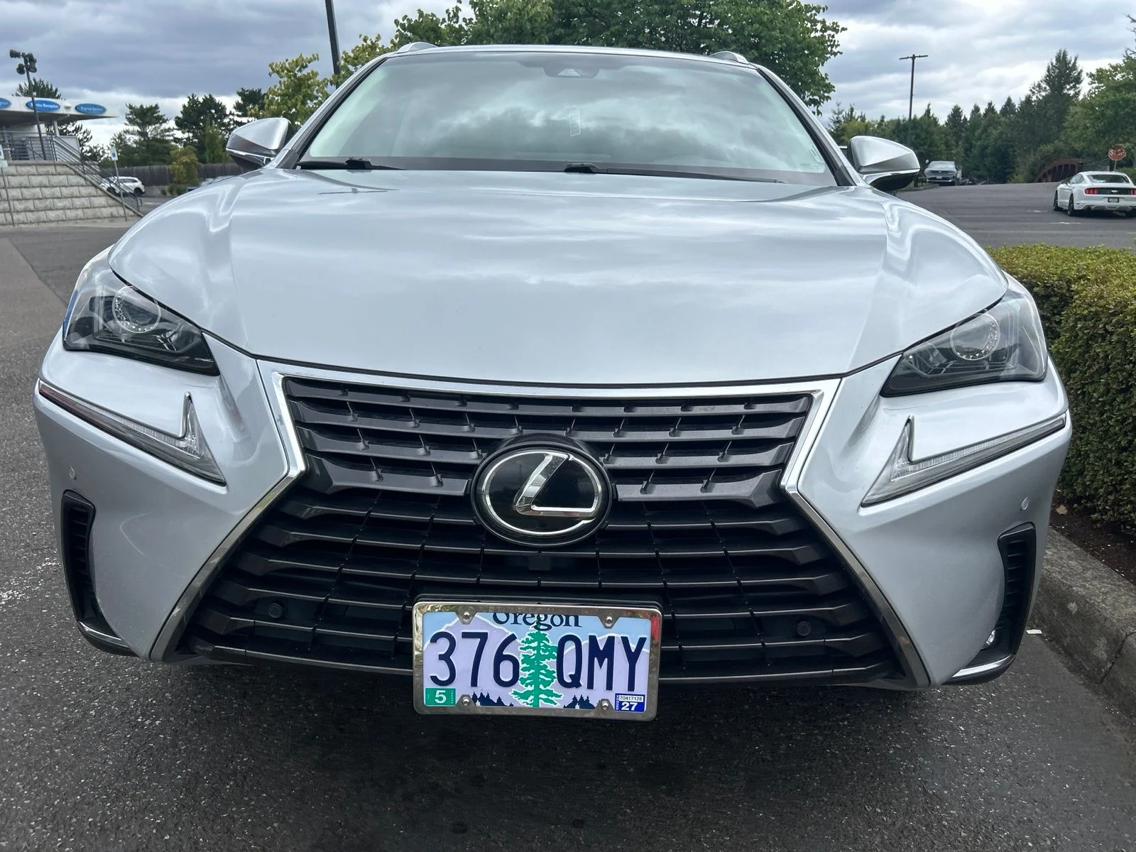 Used 2019 Silver Lining Metallic Lexus 300 Base image 2