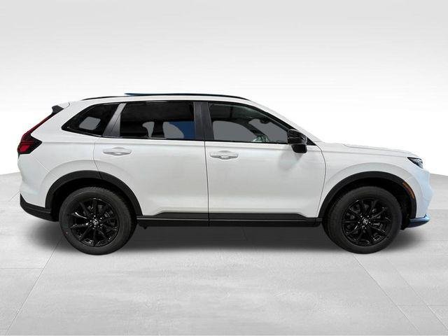 New 2026 Platinum White Pearl Honda Sport-L image 9