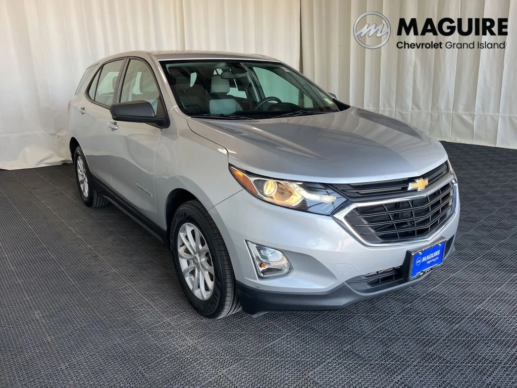Used 2019 Silver Chevrolet LS image 29