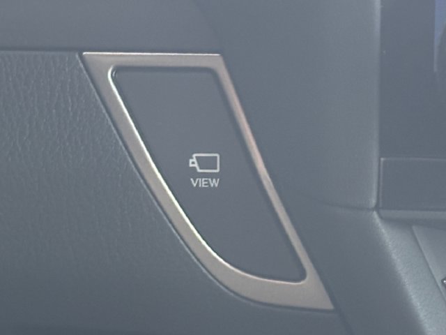 Used 2025 Black Lexus 550 Overtrail image 28