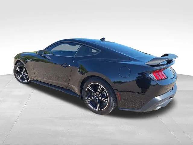 Used 2025 Black Ford EcoBoost image 5