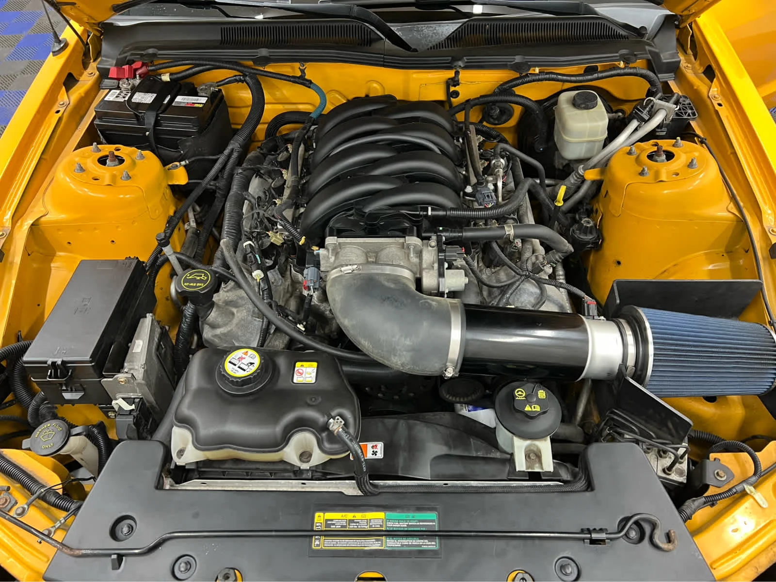 Used 2008 Grabber Orange Ford GT Premium image 13