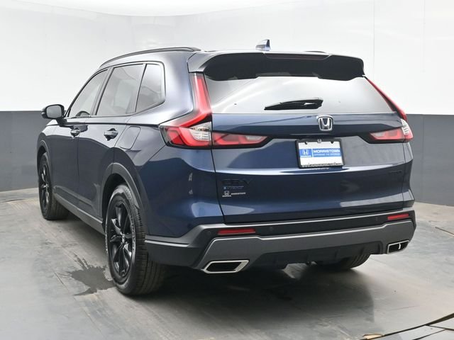Used 2026 Blue Honda Sport-L image 6