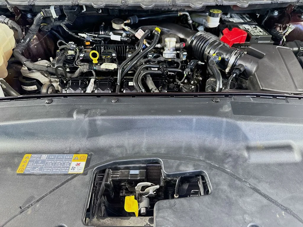 Used 2021 Red Ford SEL image 36