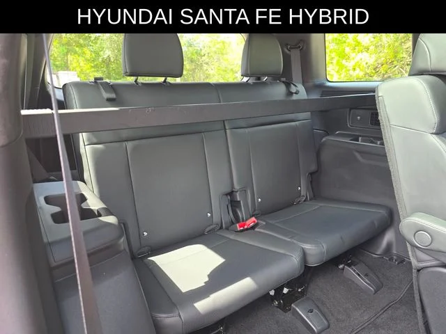 Used 2025 Blue Hyundai Calligraphy image 15