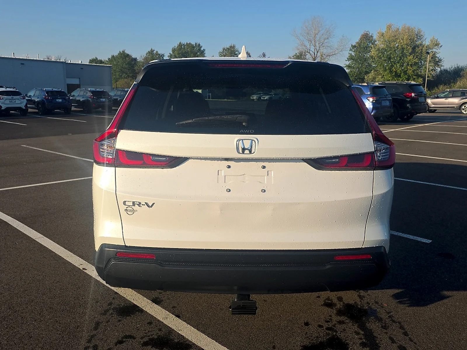 Used 2026 Platinum White Pearl Honda EX AWD image 5