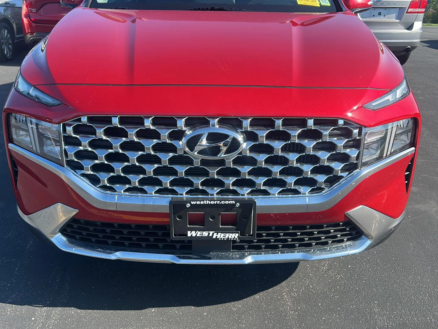 Used 2023 Calypso Red Hyundai Blue image 16