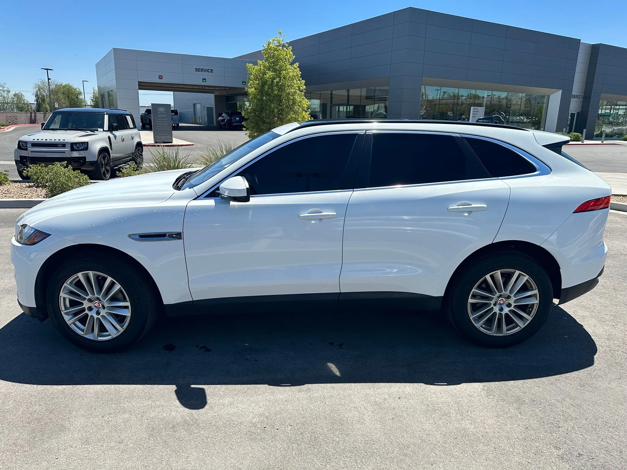 Used 2019 Fuji White Jaguar 25t Prestige image 13