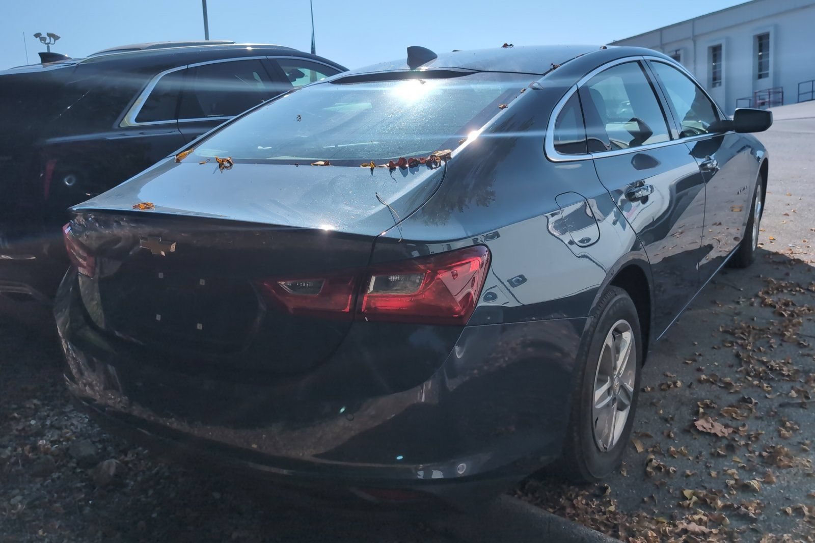 Used 2025 Lakeshore Blue Metallic Chevrolet LS image 7