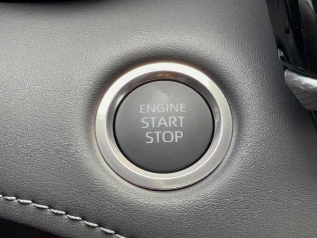 New 2026 Ruby Flare Pearl Toyota Platinum image 26