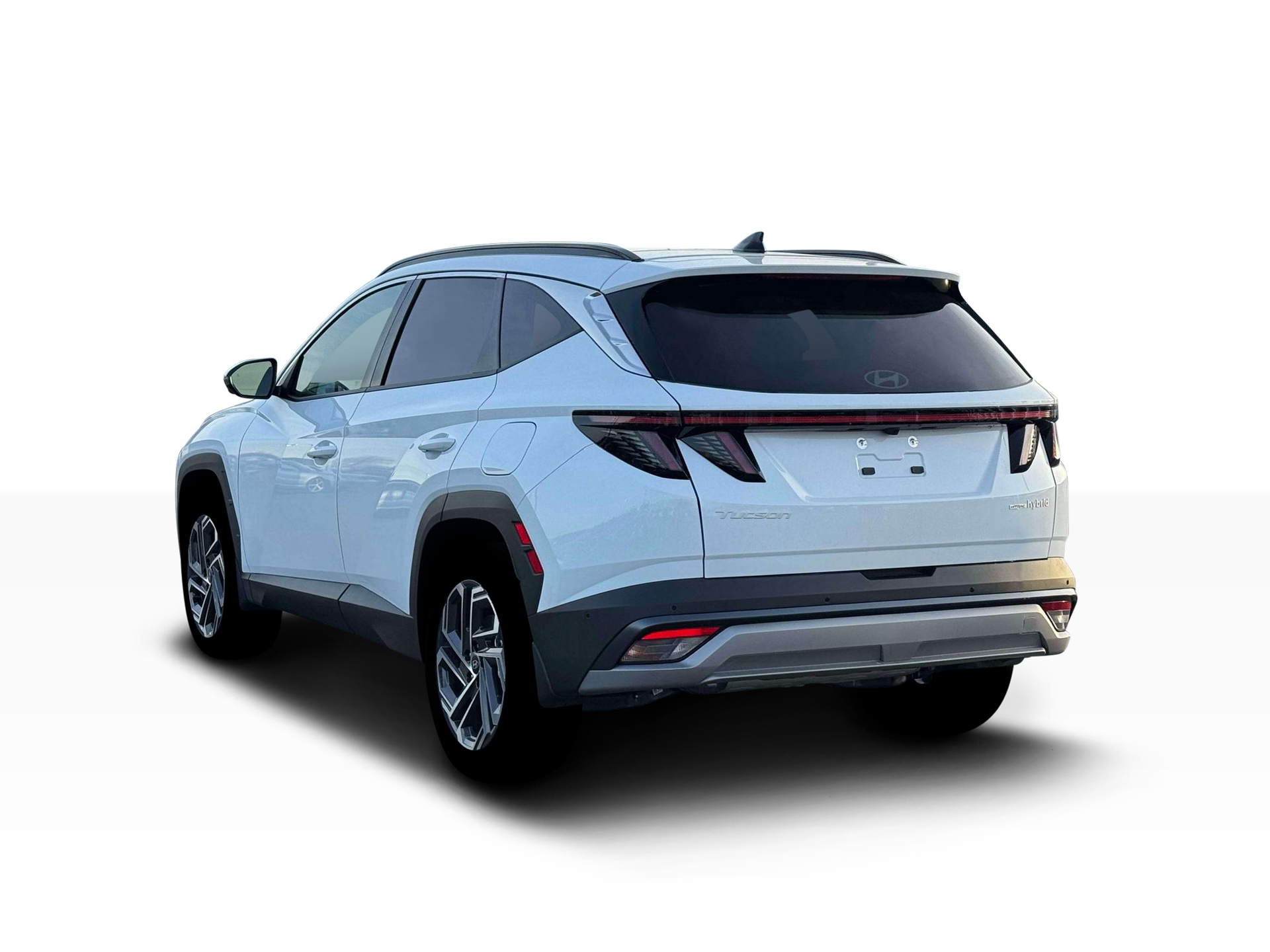 New 2026 Creamy White Pearl Hyundai Limited image 19