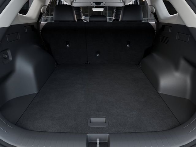 New 2026 Panthera Metal Kia EX image 20